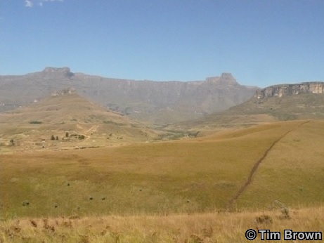Drakensberg royal Natal national park Day Safari Tour