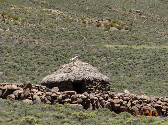 Basotho hut seen in Lesotho on our Durban Day Tour to the Drakensberg up Sani Pass