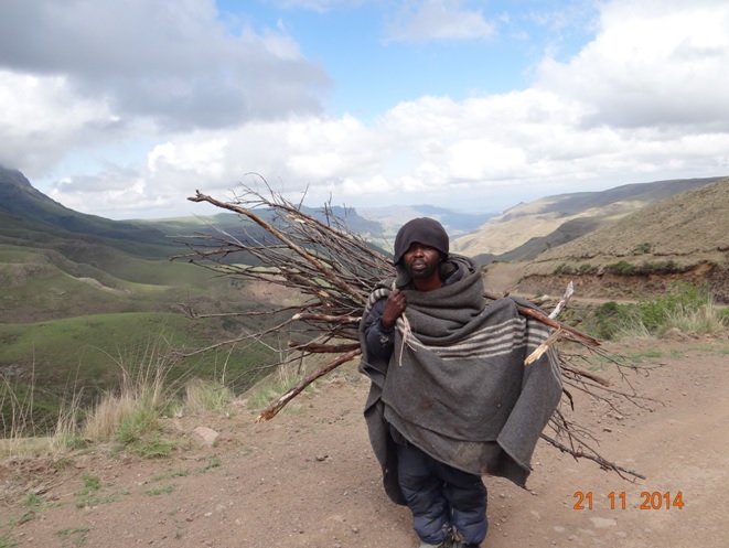 Sesotho man carries wood up the Sani Pass on our Durban Day Tour