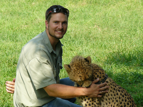 Cheetah at emdoneni Cat Rehabilitation center