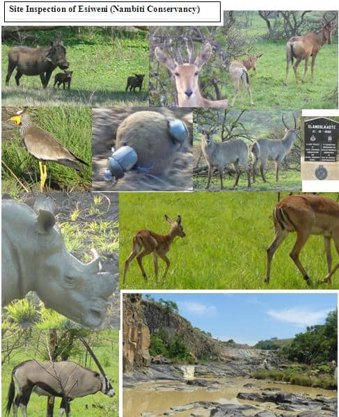 Site Inspection Esiweni Lodge