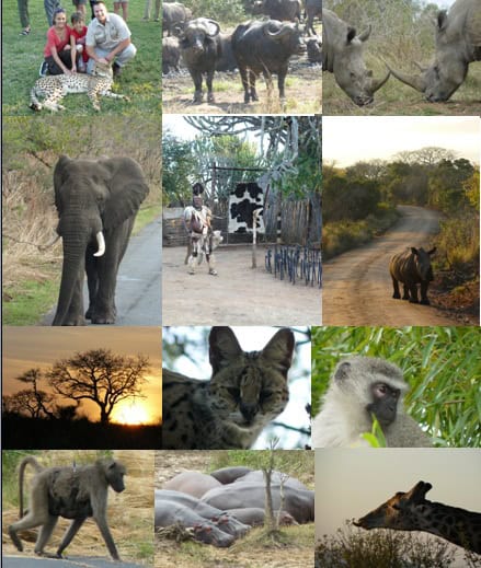 6 day Tour Shakaland, Emdoneni, Hilltop, Hluhluwe umfolozi and St Lucia