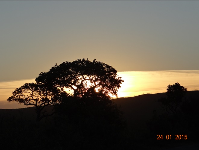 Durban safari tour, African Sunset