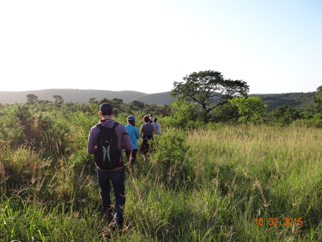 Durban 2 day safari; Bush walk