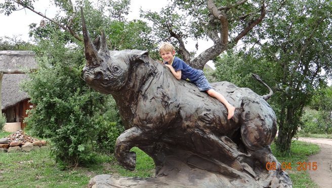 3 day safari from Durban; Homo Sapien riding a Rhino