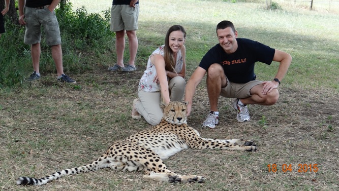 Safari from Durban in South Africa; Touching a Cheetah