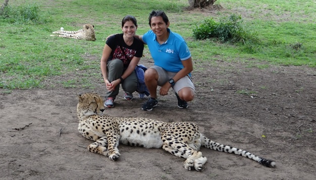 Cheetah interaction
